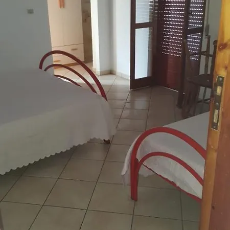 Oasi